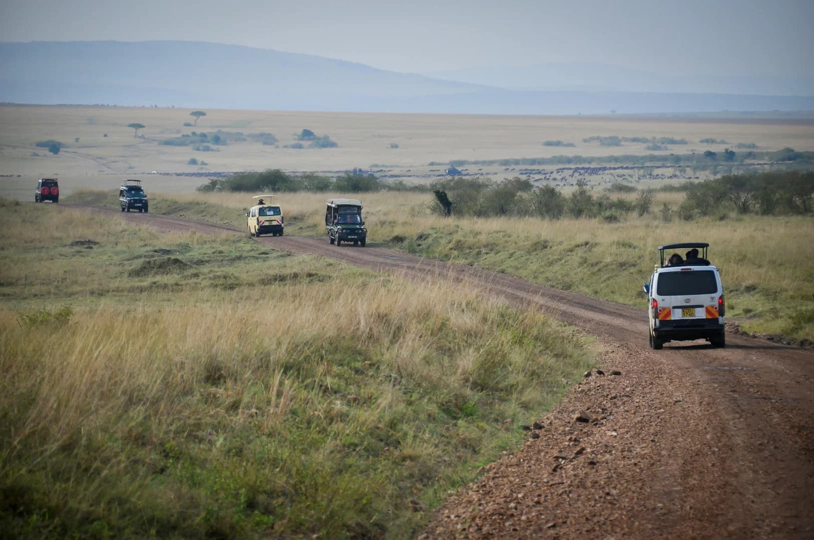 Tsavo East Arrival