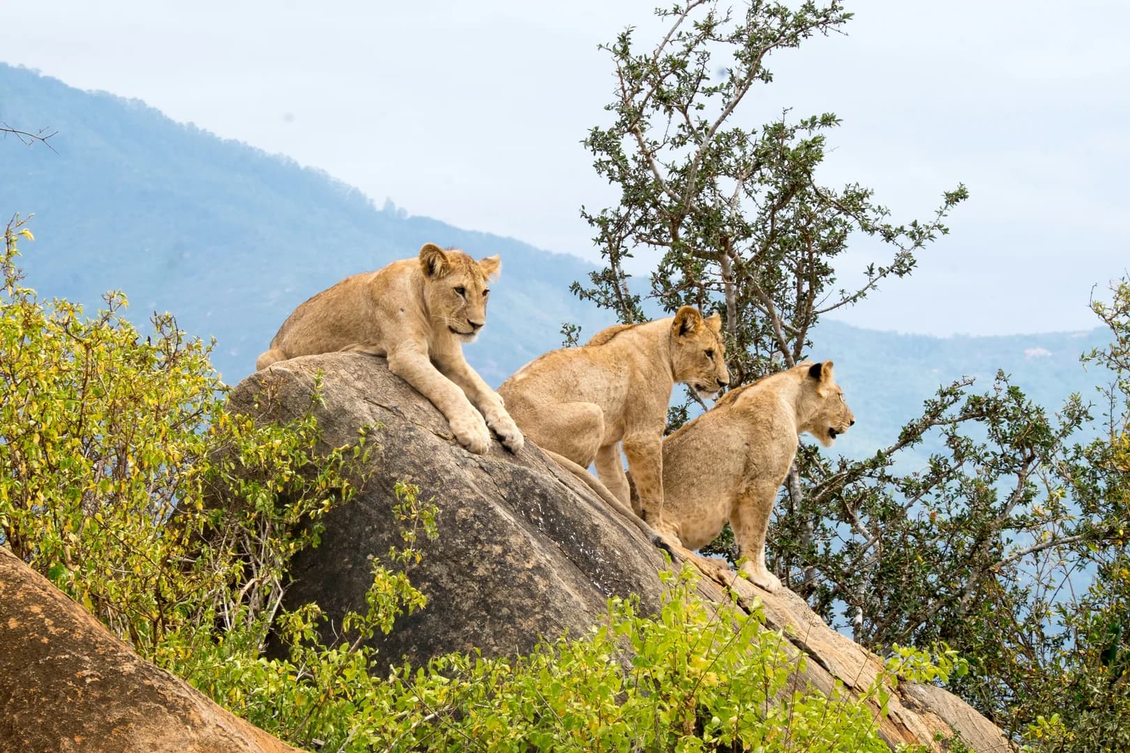 5 Days / 4 Nights – Tsavo East to Taita Hills