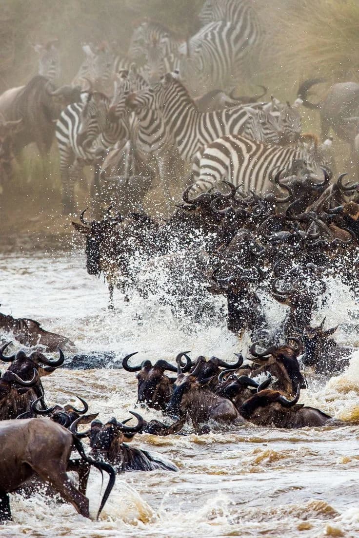 7 Days: Masai Mara to Tsavo East